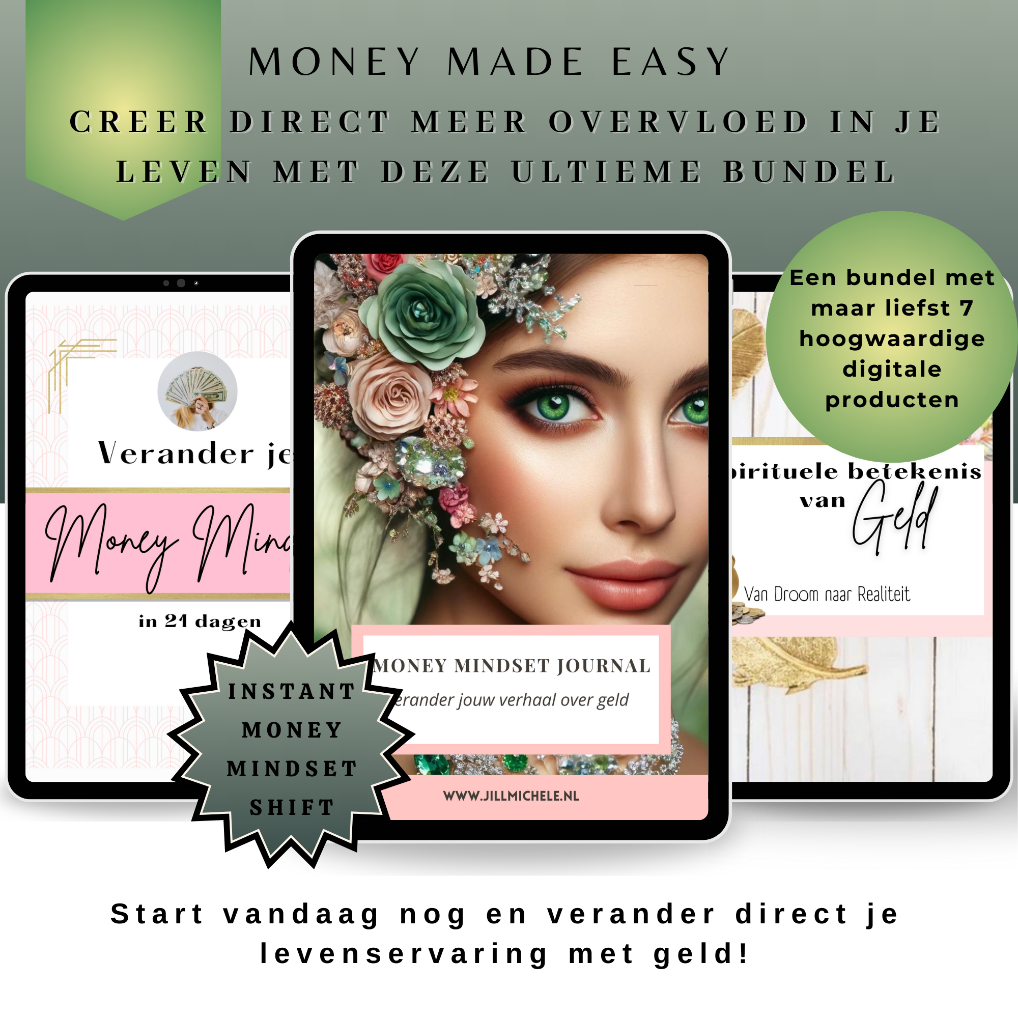 De Complete Money Mindset Cursus Verander Direct Je Mindset En